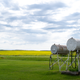 Illustration for article titled Sask 2019, Digital Version (Very photo heavy)